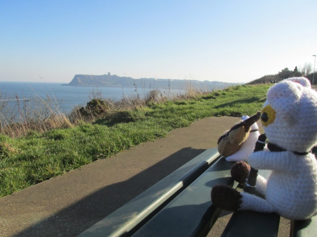 Clarence the Clarinet-Playing Cat and Boris the Bass-Playing Bear | Practising, Scarborough, February 2019