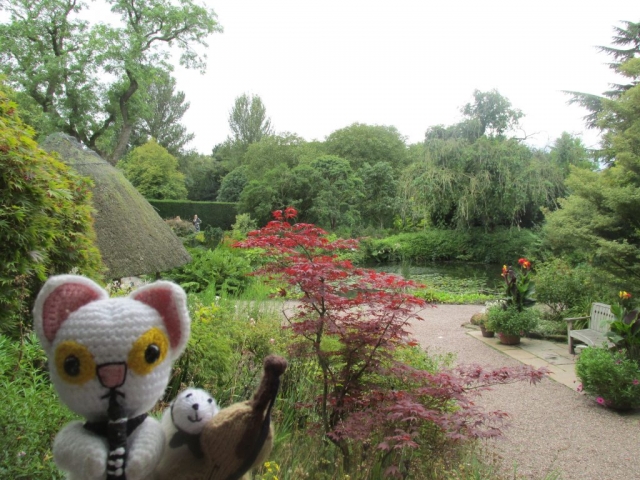 Clarence the Clarinet-Playing Cat and Boris the Bass-Playing Bear | Wedding reception, Ness Botanic Gardens, September 2021