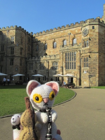 Clarence the Clarinet-Playing Cat and Boris the Bass-Playing Bear | Wedding reception, Durham Castle, March 2022